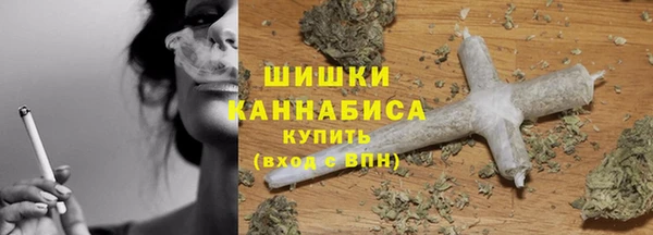 соль ск Новозыбков