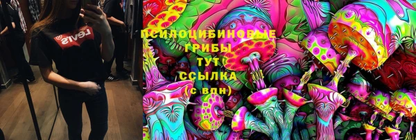 соль курить ск Новодвинск