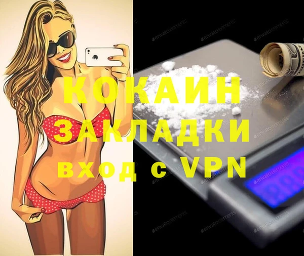 соль ск Новозыбков