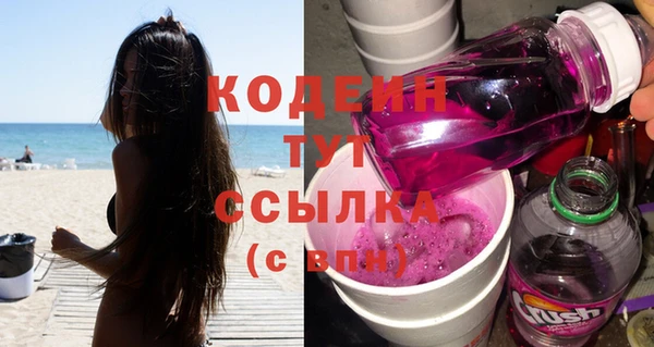сатива Новокубанск