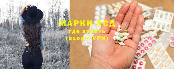 соль ск Новозыбков