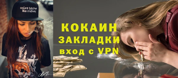 соль ск Новозыбков